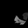 SPORK, NICO - 22.03.1976 - 02.08.2022 - CT obere Extremität - 17:51:17